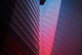 m a g | movement and gestures