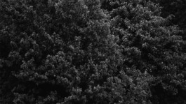 m a g | movement and gestures