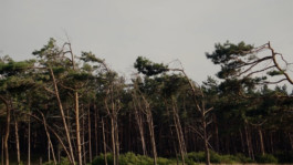 m a g | movement and gestures