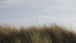 m a g | movement and gestures